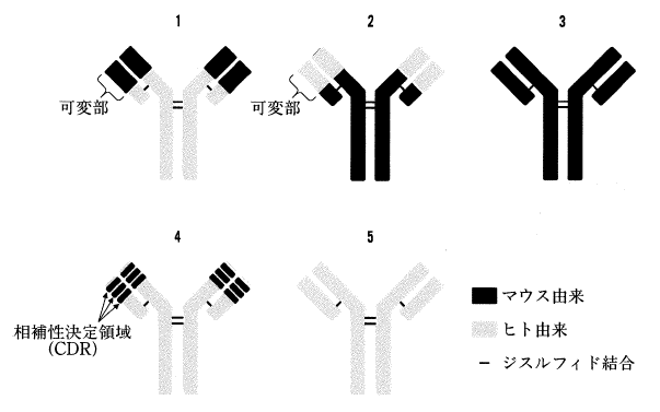 解説画像